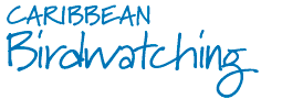 St Lucia's Best Bridwatching Vacation Resorts